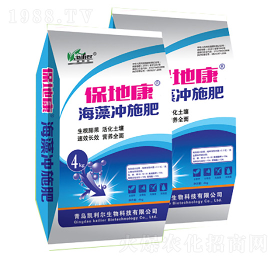 ����_ʩ��-���ؿ�-�P����