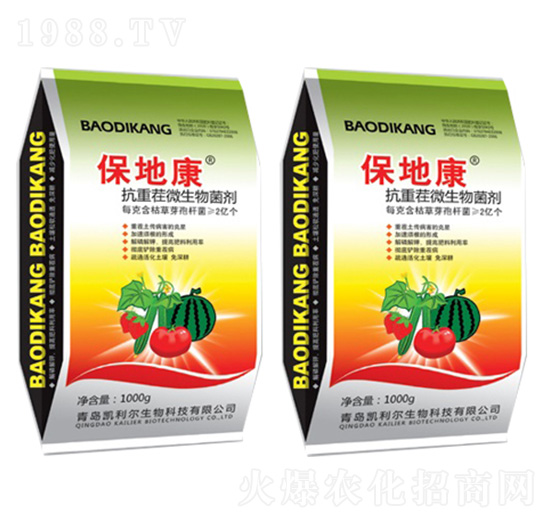 ���ز�΢�������-���ؿ�-�P����