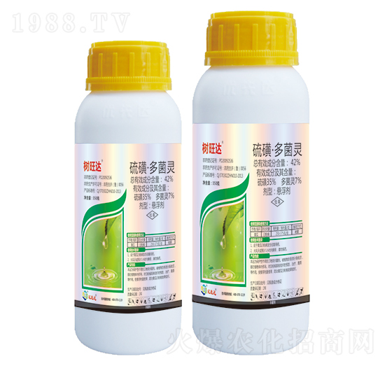 42%��ǡ�����`-��(sh��)���_(d��)-��(y��u)���_(d��)