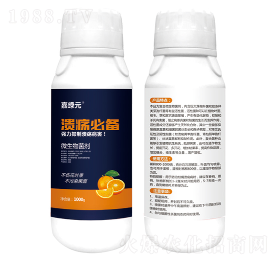 ΢�������-�����؂�-�ξGԪ