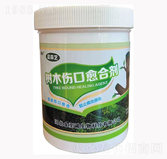 ��(sh��)ľ�������τ�-�{(l��n)ɭˇ-�����\(ch��ng)