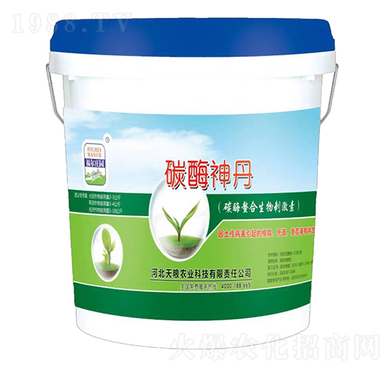 ̼ø��������̼���-̼ø��-�����f�@-��Z�r�I(y��)