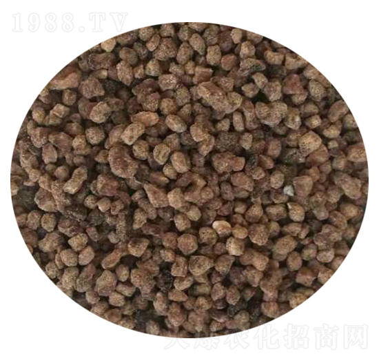 �D���ЙC(j��)��-�����o(j��)�ʘI(y��)