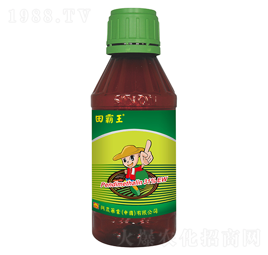 31%�������`ˮ�鄩-�����-�d�r(n��ng)ˎ�I(y��)