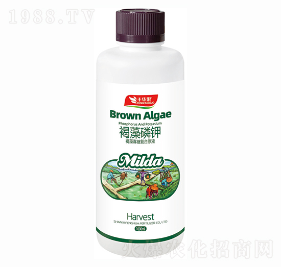 ������Ǐͺ�ԭҺ-�������-�S�A�ʘI(y��)