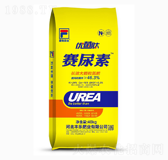 �L(zh��ng)Ч���w������-ِ����-�S��(l��)�ʘI(y��)