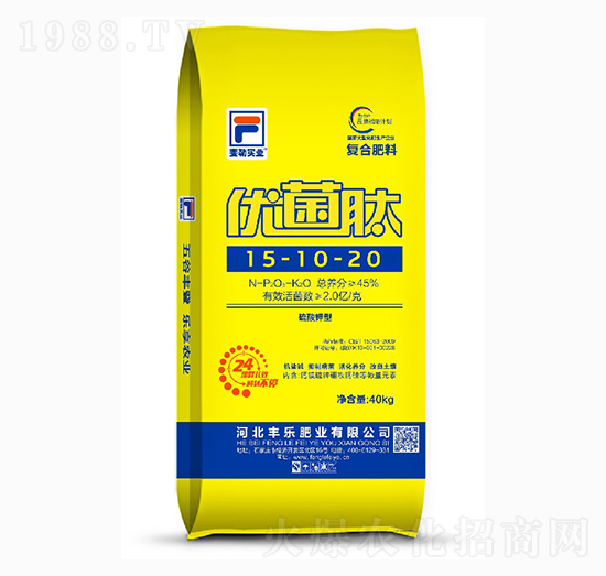 ������͏ͺϷ���15-10-20-��(y��u)����-�S���ʘI(y��)