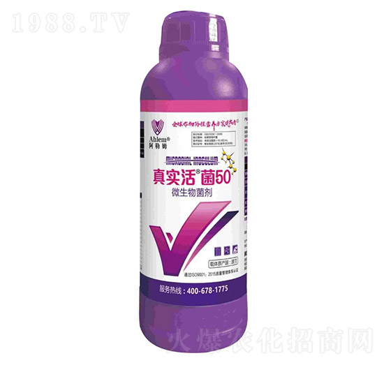 ΢�������-�挍���50-����ķ-���r(n��ng)�|��