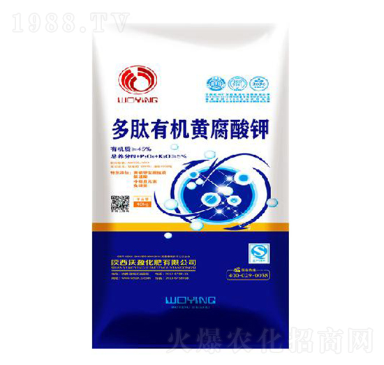 �����ЙC(j��)�S�����-��ӯ����