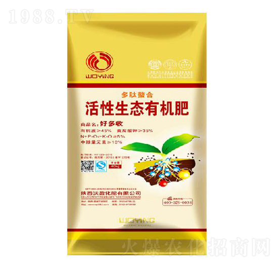 �������ϻ������B(t��i)�ЙC(j��)��-��ӯ����