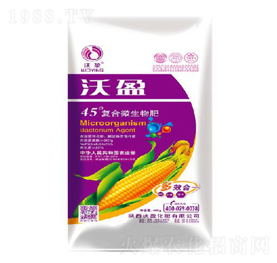 45���(f��)��΢�����-��ӯ����