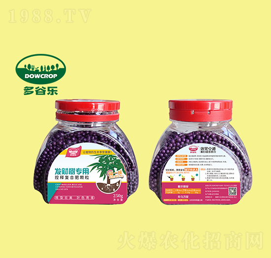 發(fā)財(cái)樹(shù)專用肥-多谷樂(lè)