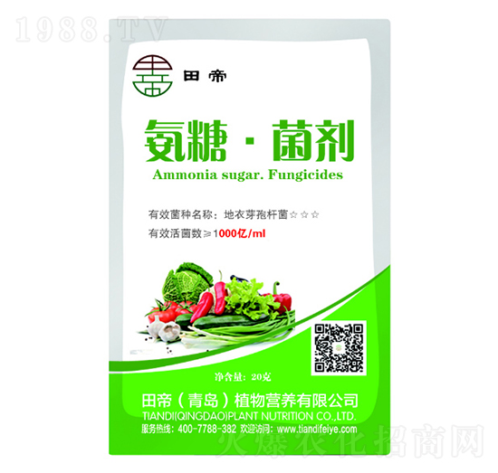 ���ǡ�����-���