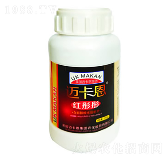 �~�����tͮͮ-��������