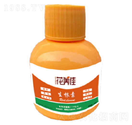 ������-���B(y��ng)��-������