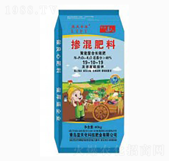 ���������LЧ��-�ͺϷ���19-10-19-�{���S̩