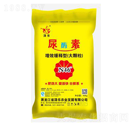 25%��ø��-�ɘ�