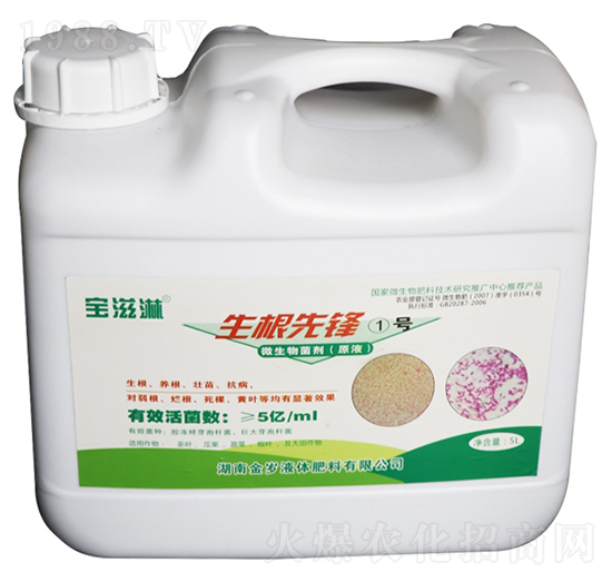 �������h1̖-������-��qҺ�w��