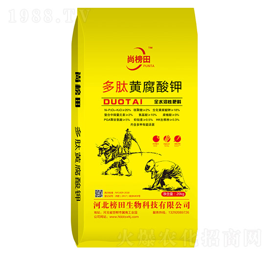 �����S�����-�а���-��������