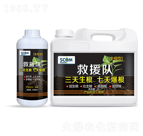 ��Ԯ�(du��)�������ͣ�-˹��ķ