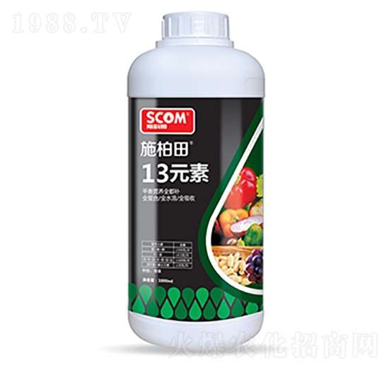 13Ԫ��-ʩ����-˹��ķ