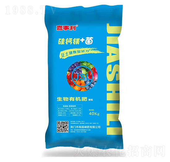 �����ЙC�ʣ��w����-������-�߈@