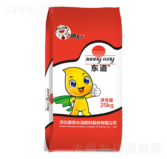 �|��������-�Ȏ�