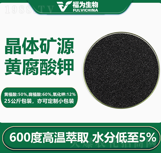 ���w�VԴ�S�����-��������