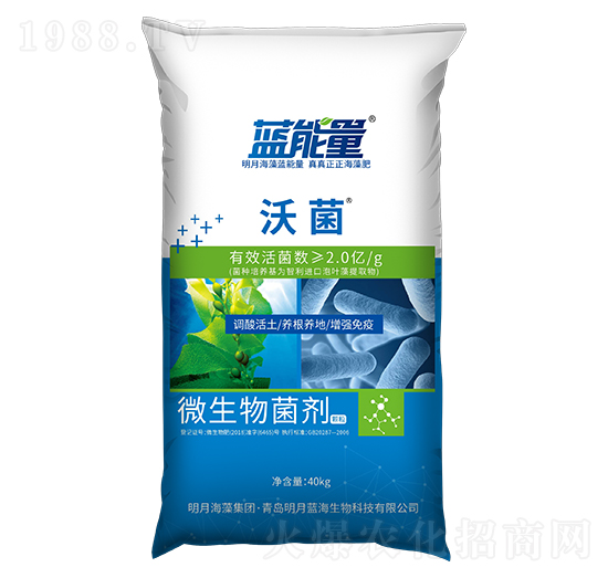 ΢����������w����-�־�-�{(l��n)����