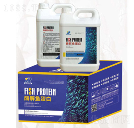 ø���~����-����r(n��ng)�I(y��)