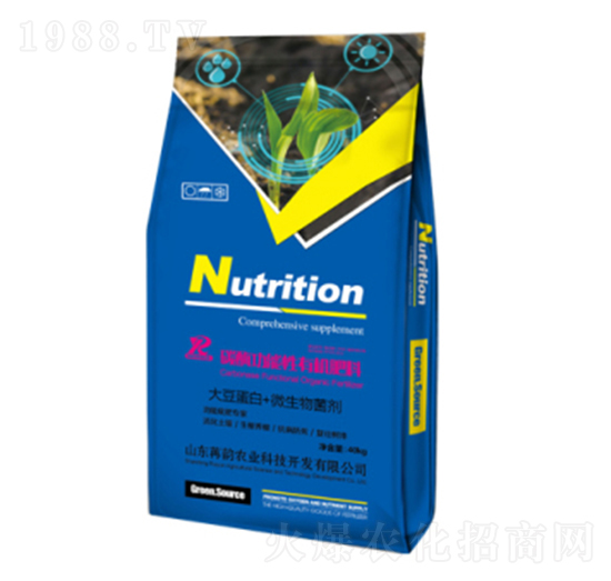 ̼ø�������ЙC(j��)����-����r(n��ng)�I(y��)