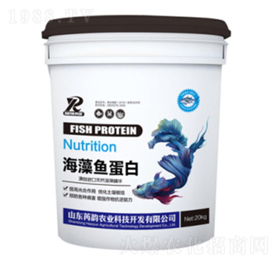 �����~(y��)����-����r(n��ng)�I(y��)