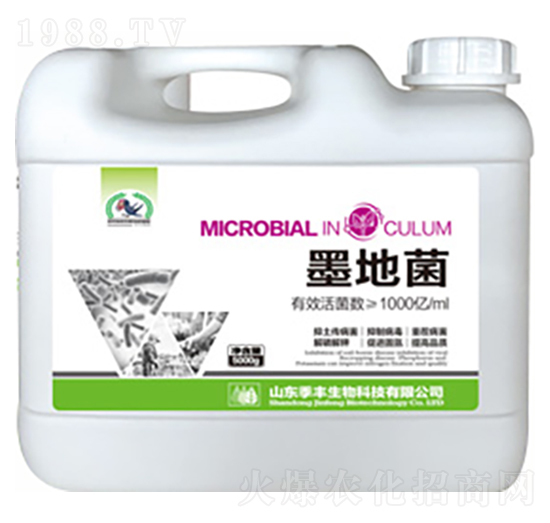 ΢�������-ī�ؾ�-���S����