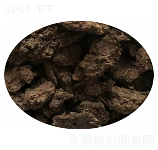 ����u�S-�G퍷ʘI(y��)