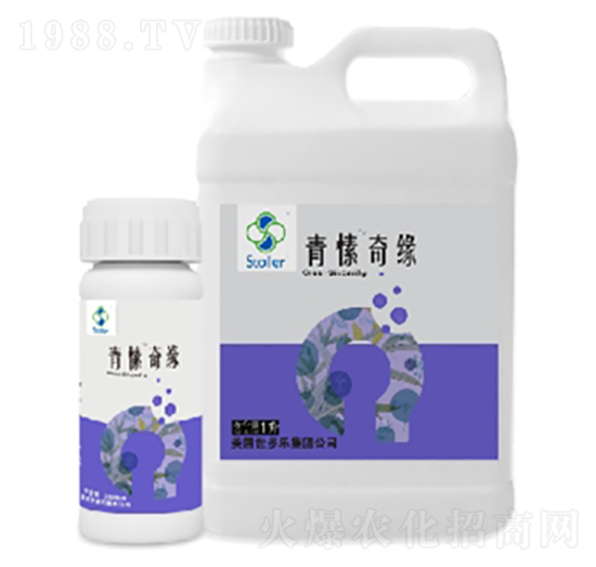 ����澉-������(l��)