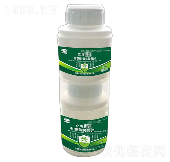 ���������ײ�-����-�r���l(f��)