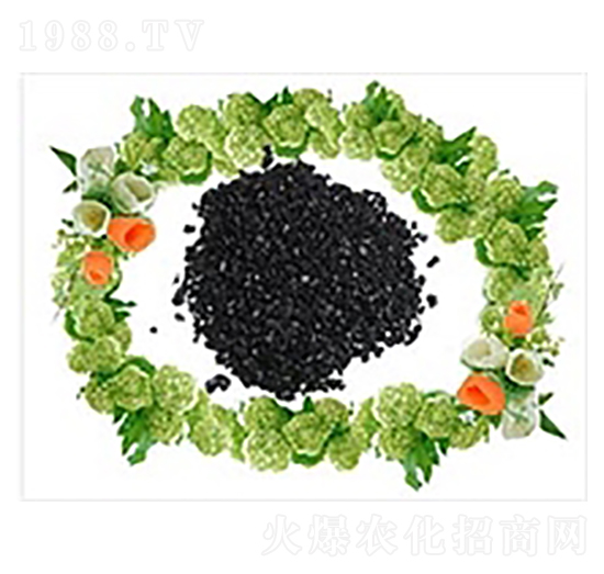 ��Ʒ��ֲ���c-ʢ��������