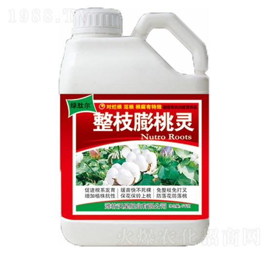 ��֦�����`-���ǷʘI(y��)