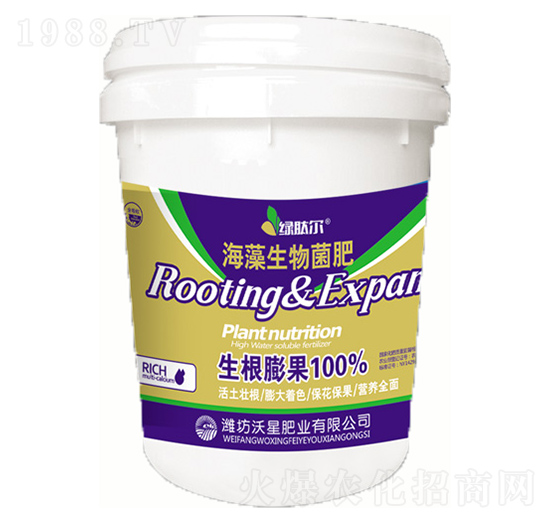 �����������-���ǷʘI(y��)