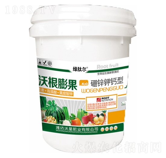 �ָ�������\��}��-���ǷʘI(y��)