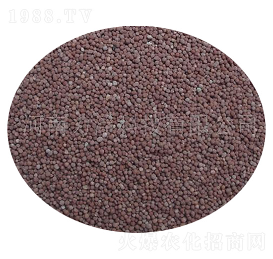 ȫ�I�B(y��ng)��ȩ��ጷ�-�����Ƽ�