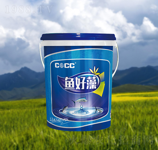 �~����-�к�����