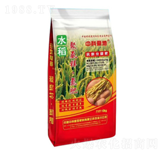 �۰��\������-�пƐ�(��i)��-�п�