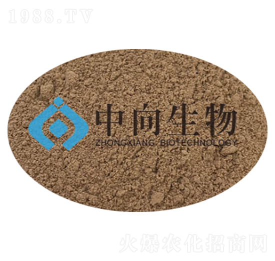 ��(c��)��ѿ�ߗU��-��������