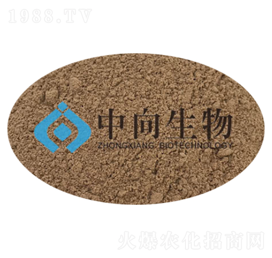 �����{(di��o)�턩-��������