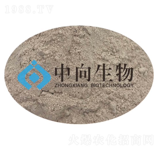 �|���߰׽���-��������