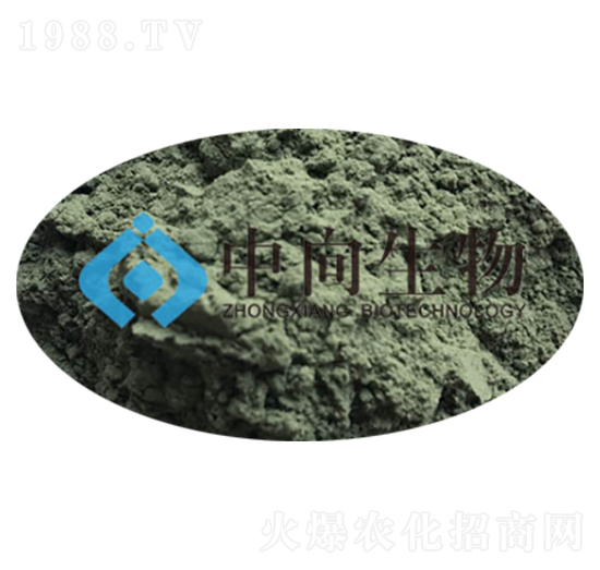 ����ľù��-��������