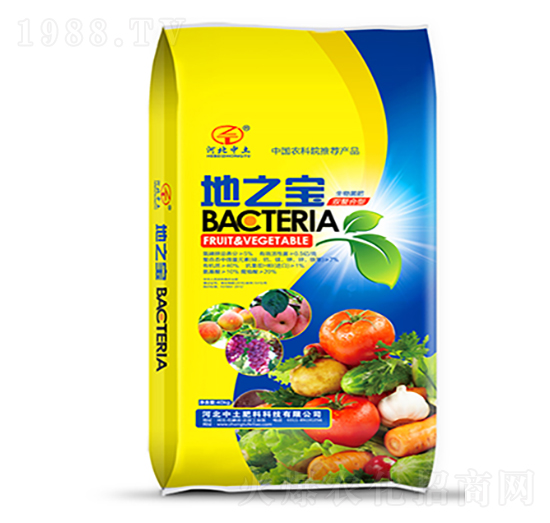 �������-��֮��-��������