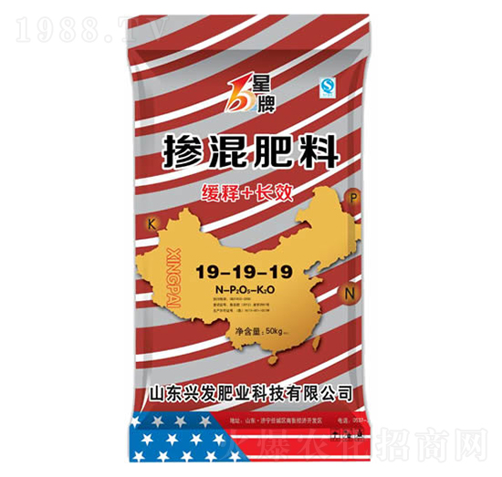 �������19-19-19-����-�d�l(f��)�ʘI(y��)