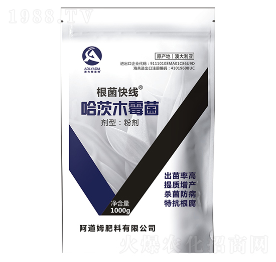 1000g����ľù��-�����쾀-����ķ